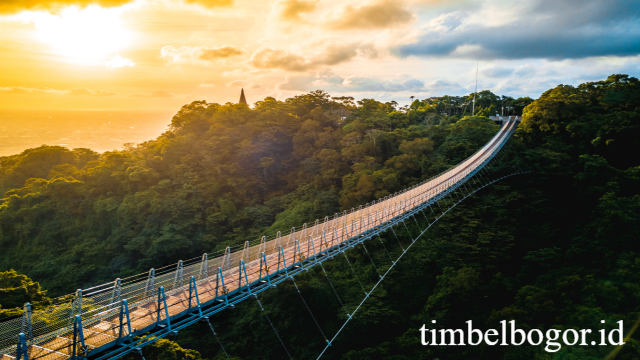 Houtanjing Sky Bridge: Ikon Wisata Ekstrem dan Keindahan Alam